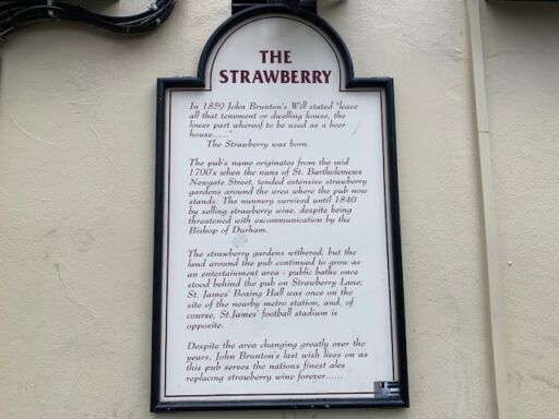 The Strawberry Pub sits in the shadow of St James' Park in Newcastle